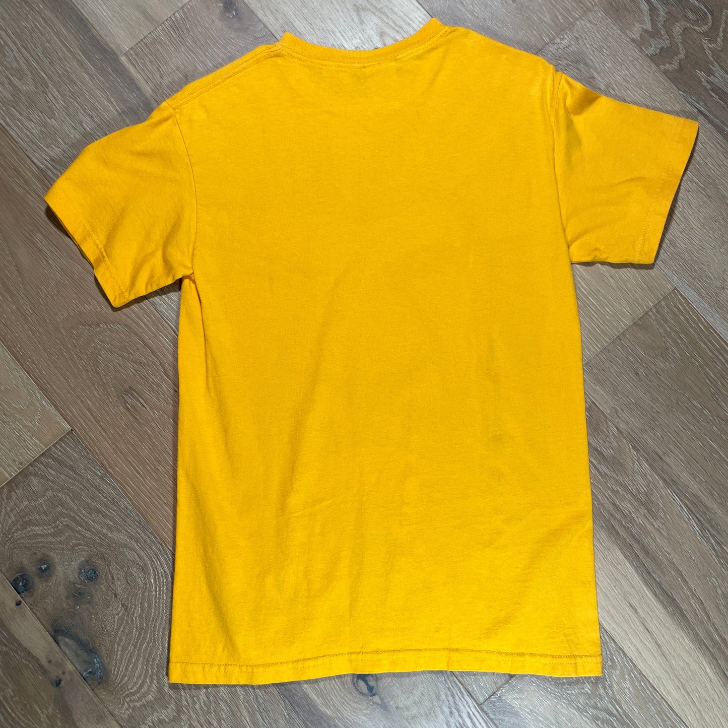Lion King on Broadway T-shirt